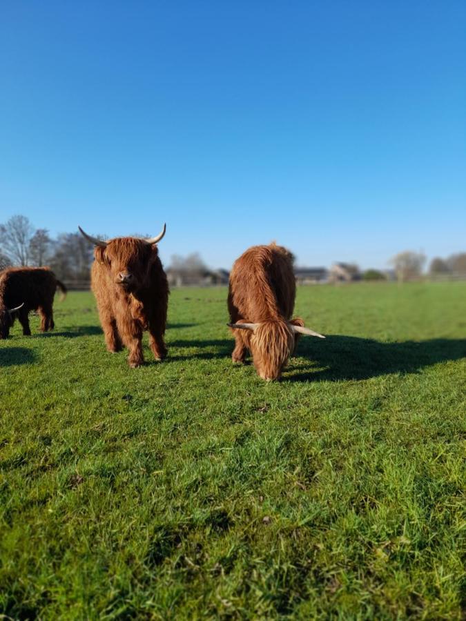 Hannekenbuurs Kleine Kune Kune Farm Apartment Weeze Exterior photo